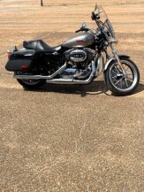 2017 Harley-Davidson Sportster for sale 201360573