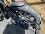 2017 Harley-Davidson Sportster Iron 883 for sale 201375714