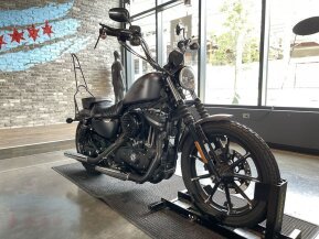 2017 Harley-Davidson Sportster Iron 883 for sale 201418631