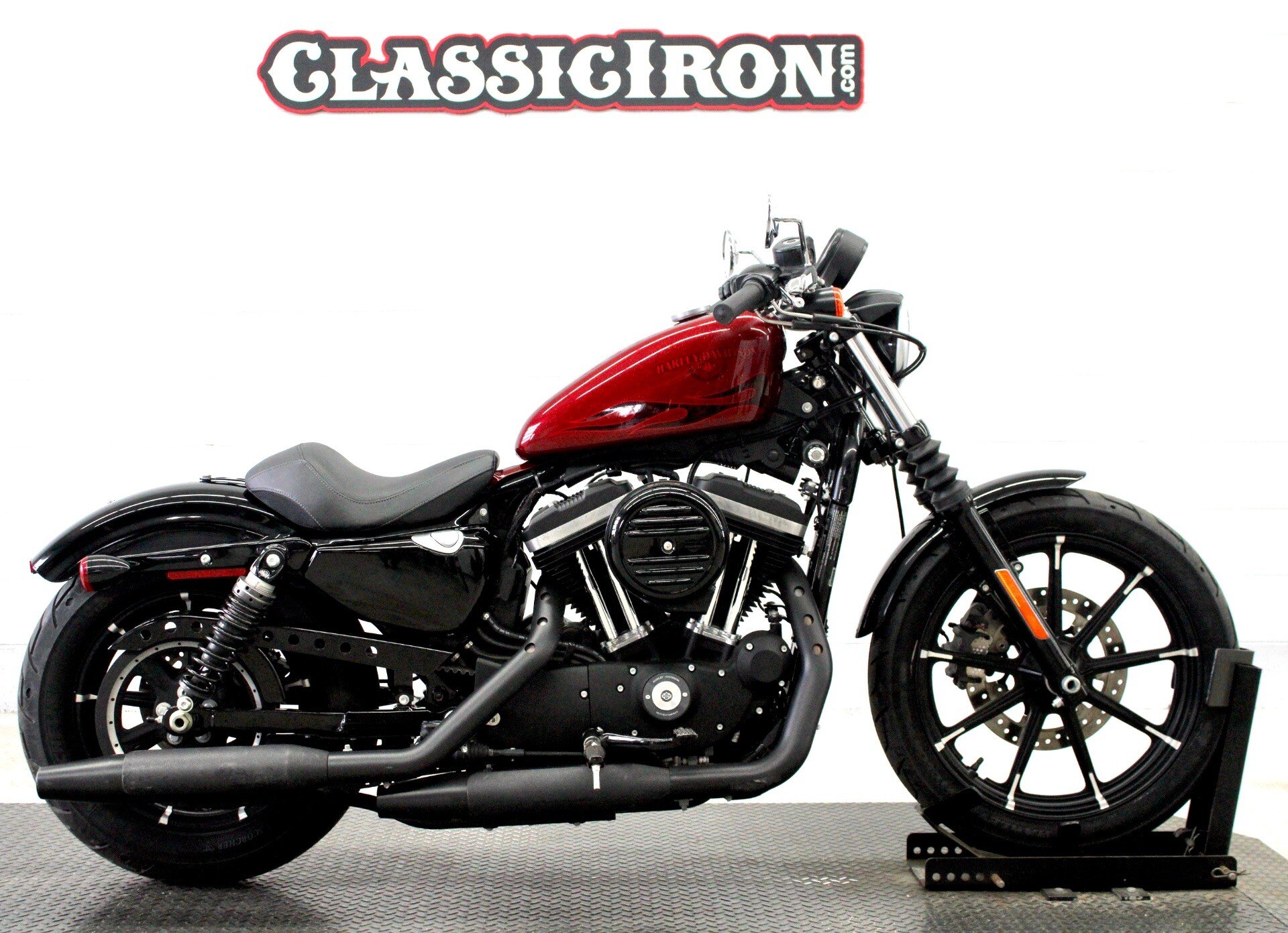 2017 Harley-Davidson Sportster Motorcycles for Sale near Tampa