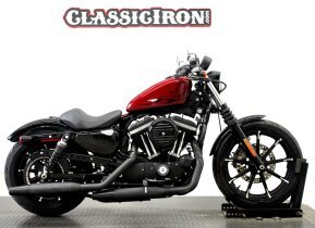 2017 Harley-Davidson Sportster Iron 883 for sale 201627326