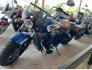 2017 Indian Scout for sale 201342553