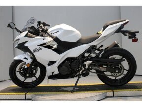 2017 Kawasaki Ninja 300 ABS for sale 201625232