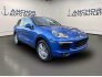 2017 Porsche Cayenne Platinum Edition for sale 101814524
