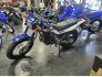 2017 Yamaha TW200 for sale 201370707