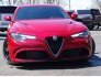 2018 Alfa Romeo Giulia Quadrifoglio for sale 101718305