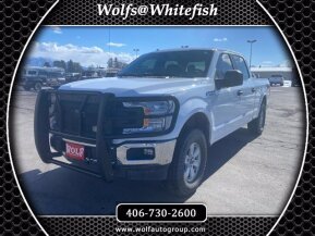 2018 Ford F150 for sale 101712166