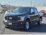 2018 Ford F150 for sale 101816627