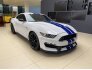 2018 Ford Mustang Shelby GT350 for sale 101691058