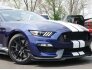 2018 Ford Mustang Shelby GT350 for sale 101729825