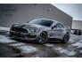2018 Ford Mustang Shelby GT350 Coupe for sale 101751104