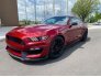 2018 Ford Mustang for sale 101753100