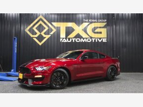 2018 Ford Mustang Shelby GT350 for sale 101813571