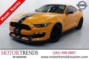 2018 Ford Mustang Shelby GT350 for sale 101846102