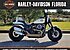 2018 Harley-Davidson Softail for sale 200523476