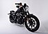 2018 Harley-Davidson Sportster Iron 883 for sale 200620099