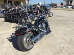 Thumbnail Photo 1 for 2018 Harley-Davidson Softail