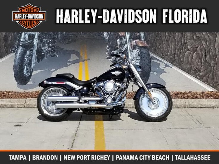 Thumbnail Photo undefined for 2018 Harley-Davidson Softail