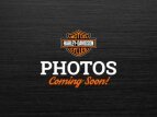 Thumbnail Photo 12 for 2018 Harley-Davidson Softail