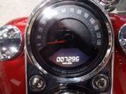 Thumbnail Photo 20 for 2018 Harley-Davidson Softail Low Rider