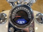 Thumbnail Photo 18 for 2018 Harley-Davidson Softail Low Rider