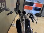 Thumbnail Photo 9 for 2018 Harley-Davidson Softail Low Rider
