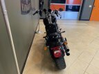 Thumbnail Photo 14 for 2018 Harley-Davidson Softail Low Rider