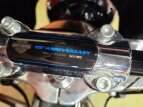 Thumbnail Photo 21 for 2018 Harley-Davidson Softail 115th Anniversary Heritage Classic 114