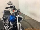 Thumbnail Photo 6 for 2018 Harley-Davidson Softail Low Rider