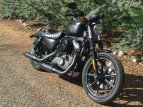 Thumbnail Photo 6 for 2018 Harley-Davidson Sportster