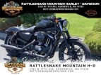 Thumbnail Photo 29 for 2018 Harley-Davidson Sportster Iron 883