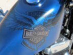 Thumbnail Photo 23 for 2018 Harley-Davidson Sportster 115th Anniversary Forty-Eight