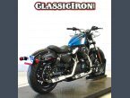 Thumbnail Photo 4 for 2018 Harley-Davidson Sportster 115th Anniversary Forty-Eight