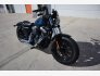 2018 Harley-Davidson Sportster 115th Anniversary Forty-Eight for sale 201374581
