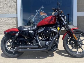 2018 Harley-Davidson Sportster Iron 883 for sale 201453553
