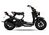 2018 Honda Ruckus for sale 200647758