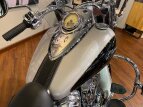 Thumbnail Photo 10 for 2018 Indian Chief Vintage