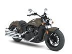 Thumbnail Photo 8 for 2018 Indian Scout Sixty