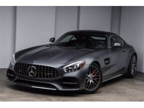 2018 Mercedes-Benz AMG GT for sale 101652153