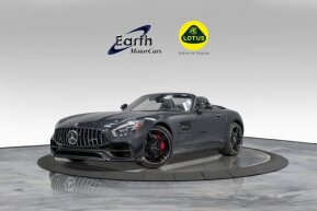 2018 Mercedes-Benz AMG GT for sale 101990163