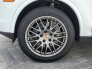 2018 Porsche Cayenne Platinum Edition for sale 101774335