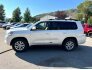 2018 Toyota Land Cruiser for sale 101784268