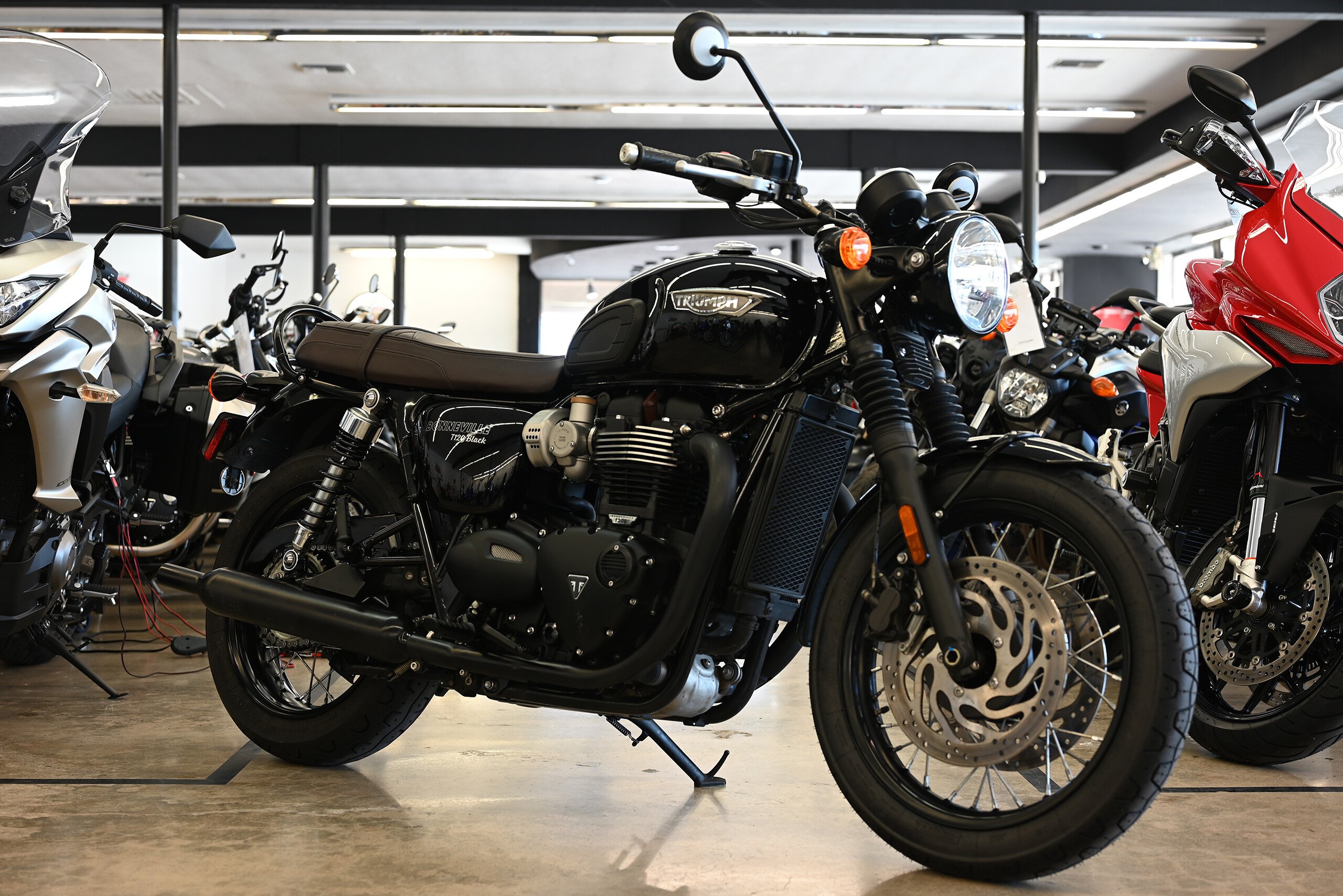 Autotrader 2024 triumph bonneville