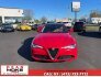 2019 Alfa Romeo Giulia for sale 101812592