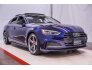 2019 Audi S5 for sale 101769851