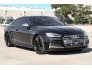 2019 Audi S5 for sale 101790839