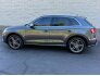 2019 Audi SQ5 for sale 101771131