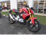 2019 BMW G310R for sale 200705456