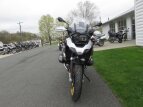 Thumbnail Photo 2 for New 2019 BMW R1250GS