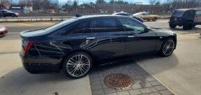 2019 Cadillac CT6 for sale 101861701